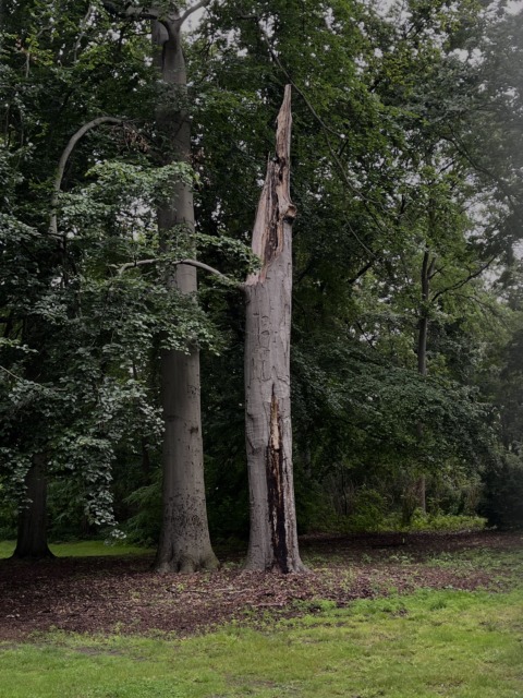 After Swimming – 7