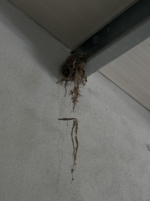 Primavera Hitachi – 2