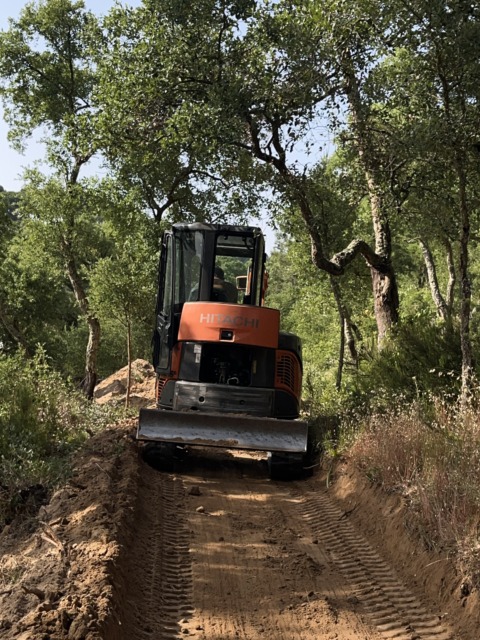 Primavera Hitachi – 9