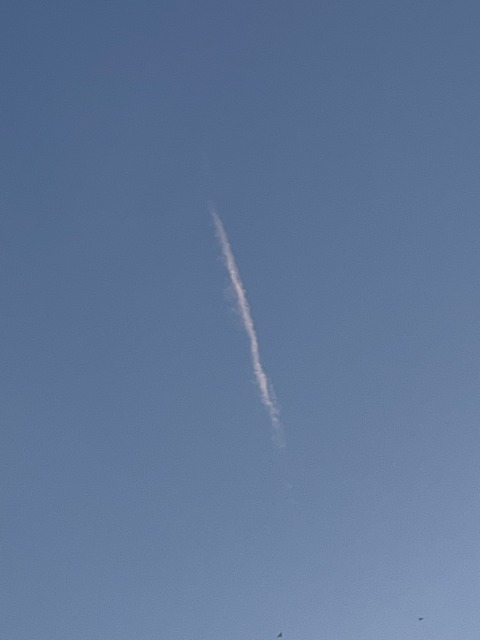 This Moment For Life – 5