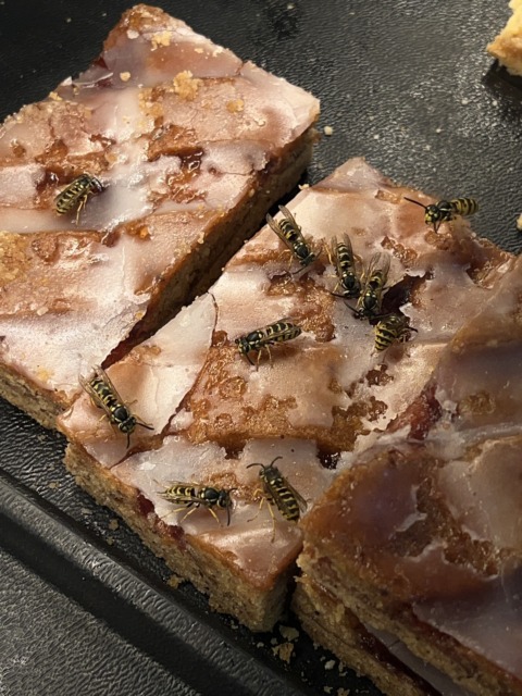 This Moment For Life