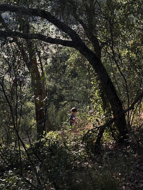 This Moment For Life – 13