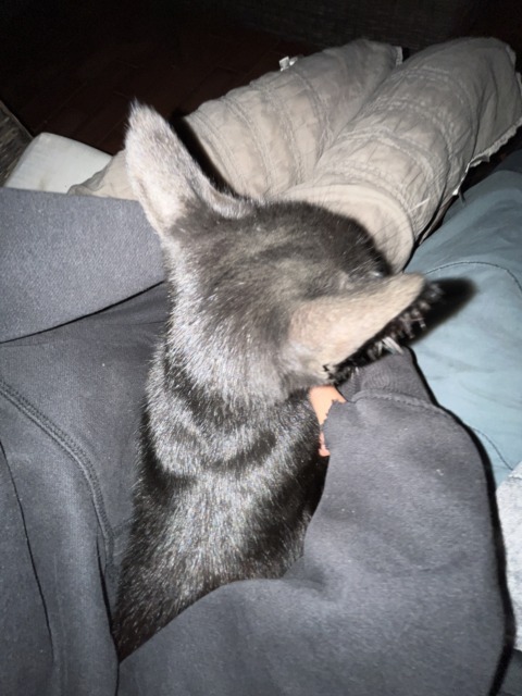 This Moment For Life – 14