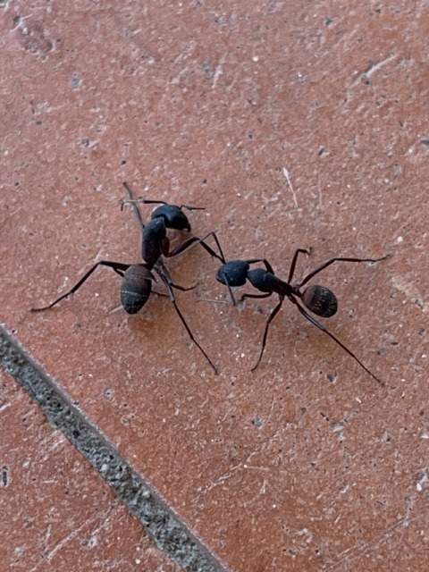 This Moment For Life – 20