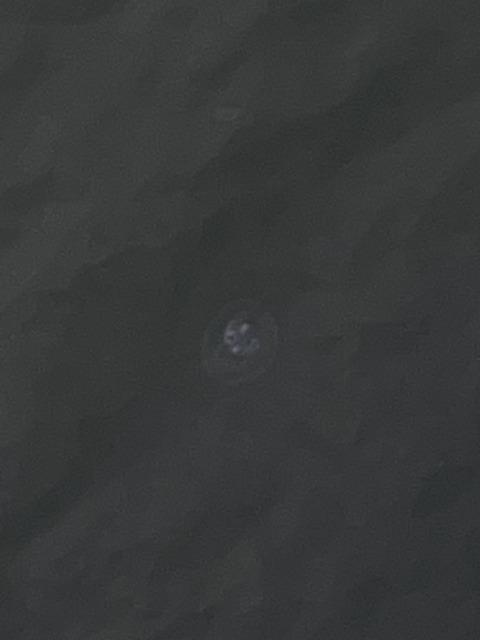 Let Me Crush  – 17