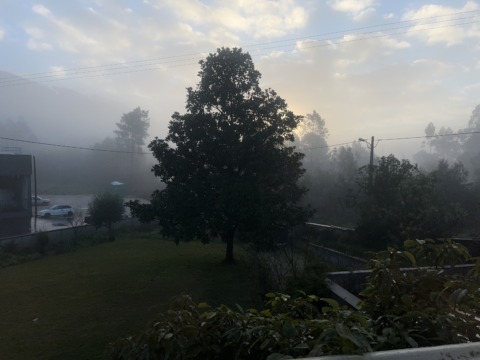 A foggy morning scene with a large tree in the foreground, distant hills obscured by mist, and soft sunlight breaking…