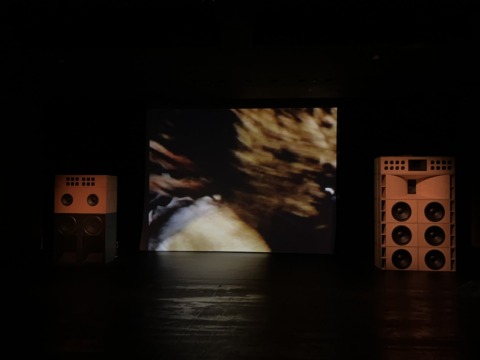 Mycelium
